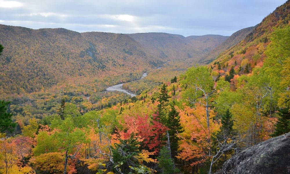 Hiking Day Trip Paired with Culinary Delights! | Destination Cape Breton