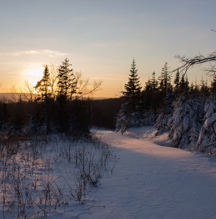 Sled Bed Package At Iron Mountain Wilderness Cabins Cb Island