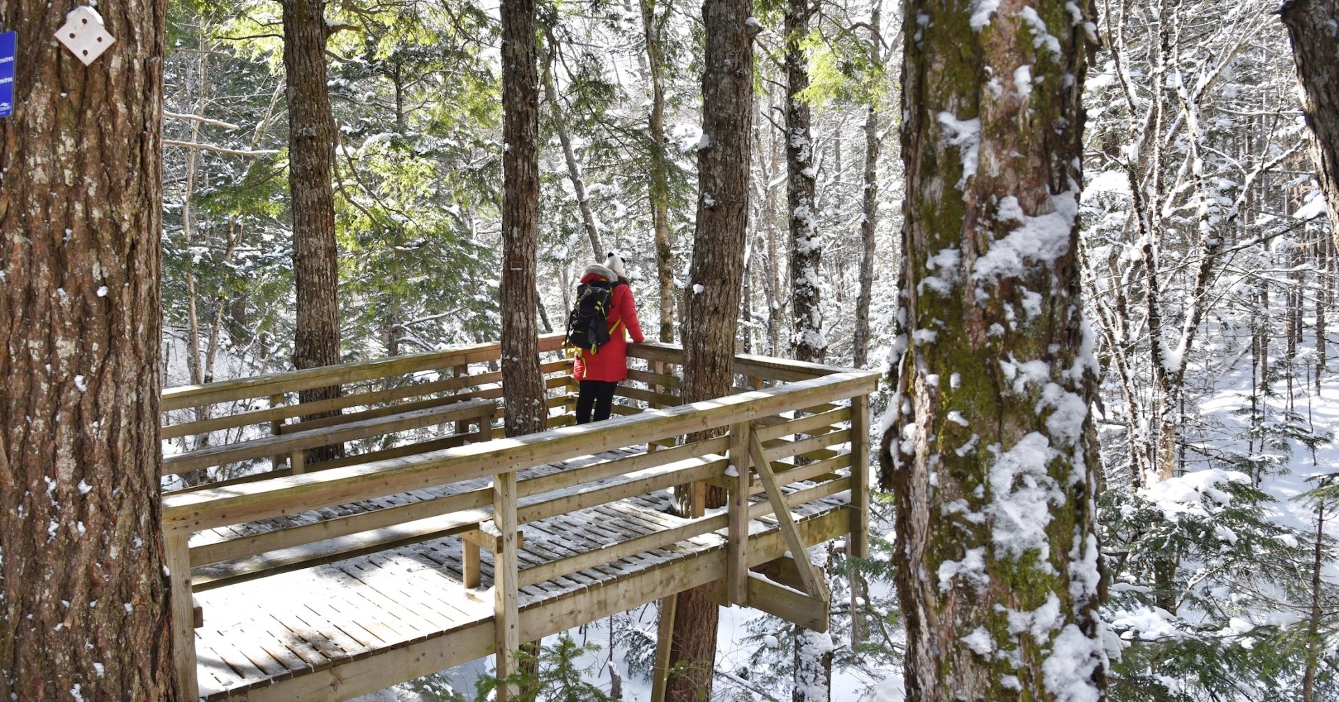 Winter Gems - Port Hawkesbury Community Trails