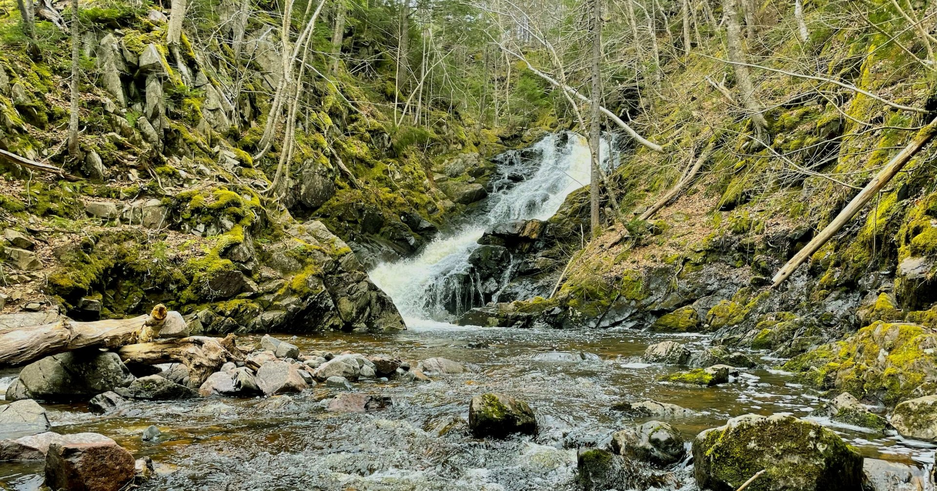 Waterfall Chasers - Dome Sweet Dome! 6