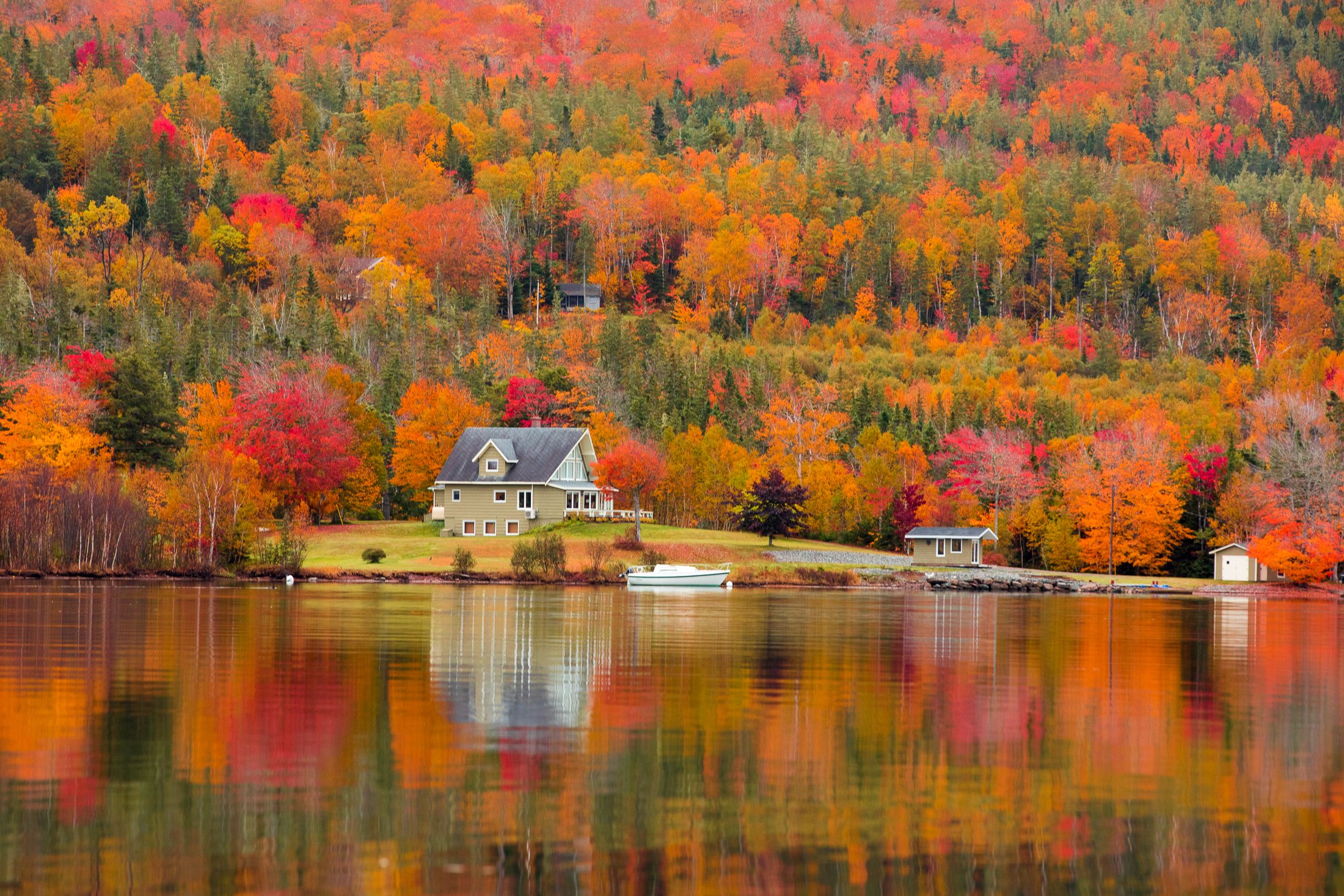 A cottage on a lake shore