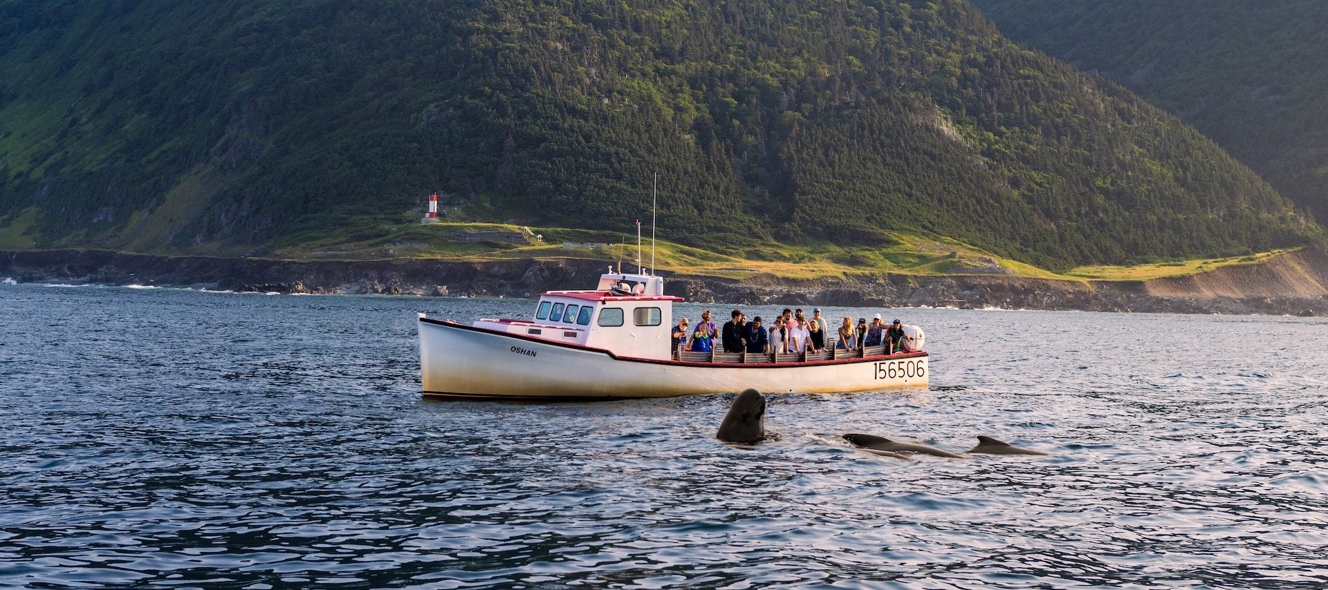 Oshan Whale Watching Money Point